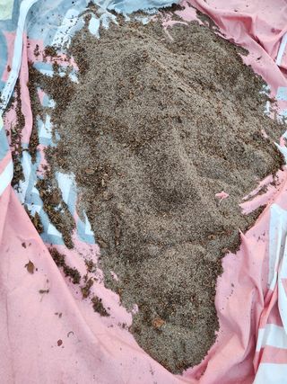 장재갑님의 들깨 · 영농일지 작성글 사진