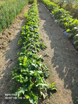 金鎭님의 자유주제 · 자유게시판 작성글 사진