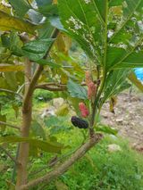 팜모닝 자유주제·자유게시판 게시글 이미지