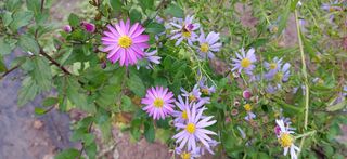 달맛햇복숭아농원님의 자유주제 · 사진전 작성글 사진