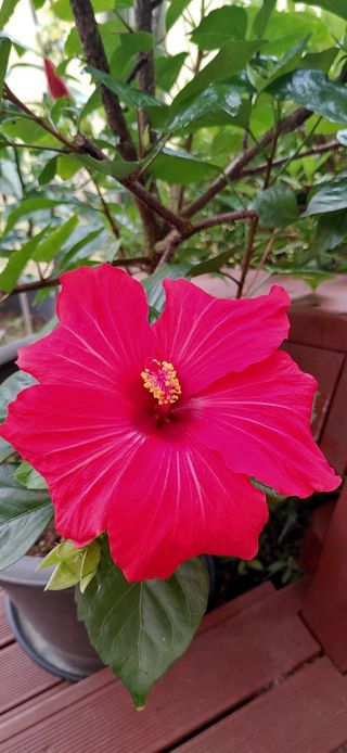 달맛햇복숭아농원님의 자유주제 · 사진전 작성글 사진