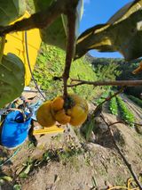 팜모닝 자유주제·자유게시판 게시글 이미지