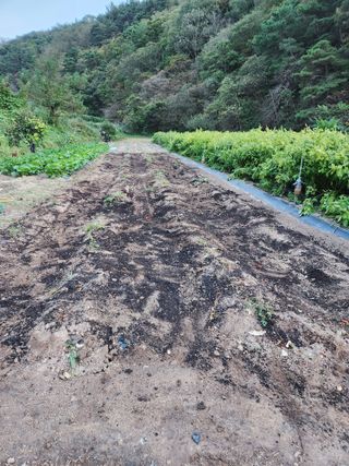 kis님의 자유주제 · 자유게시판 작성글 사진