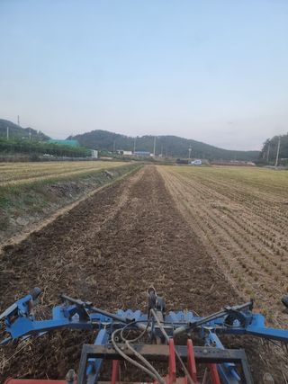 정영기대산축산농부♡님의 벼 · 영농일지 작성글 사진