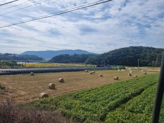 정영기대산축산농부♡님의 벼 · 영농일지 작성글 사진