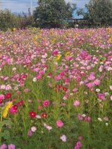 팜모닝 자유주제·사진전 게시글 이미지