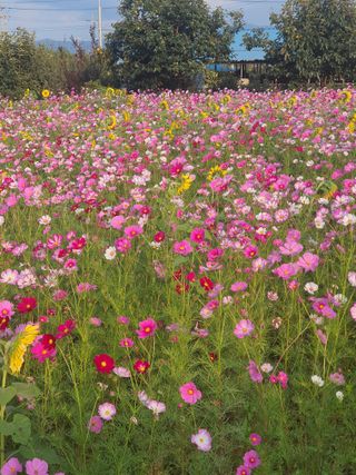 엘림농장님의 자유주제 · 사진전 작성글 사진