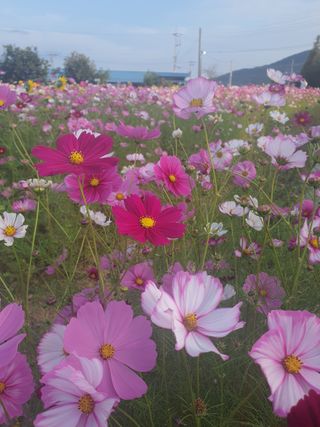 엘림농장님의 자유주제 · 사진전 작성글 사진