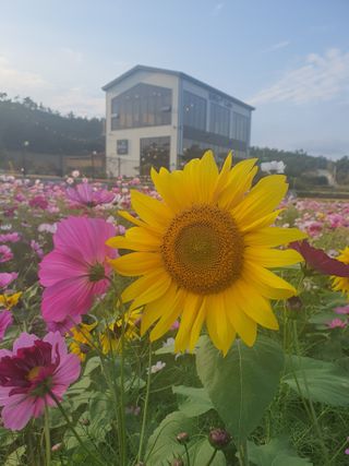 엘림농장님의 자유주제 · 사진전 작성글 사진