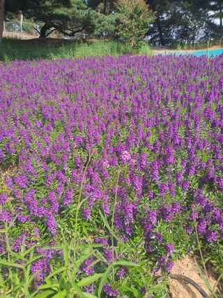 엘림농장님의 자유주제 · 사진전 작성글 사진