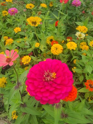 엘림농장님의 자유주제 · 사진전 작성글 사진