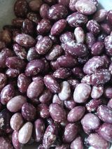 팜모닝 배추·영농일지 게시글 이미지