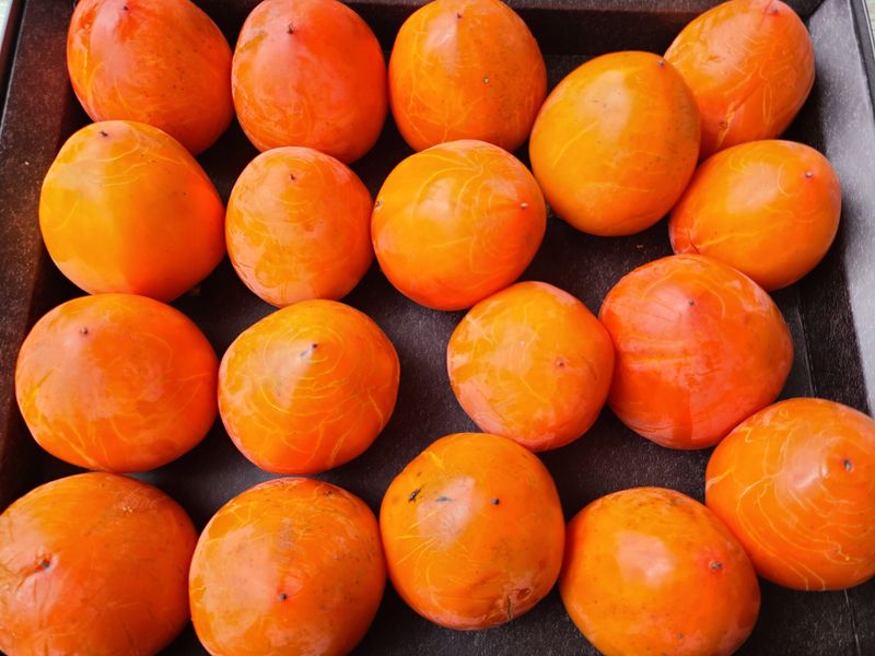 장터 상품 [대봉감15kg] 썸네일