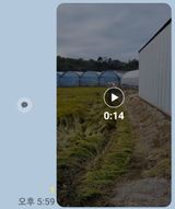 팜모닝 벼·자유게시판 게시글 이미지