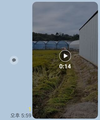 이규현님의 벼 · 자유게시판 작성글 사진