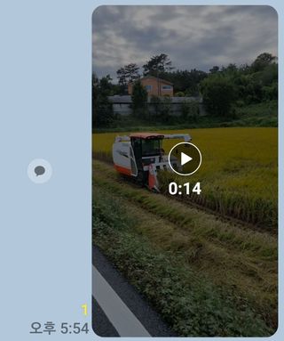 이규현님의 벼 · 자유게시판 작성글 사진