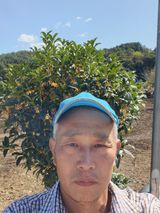 팜모닝 자유주제·자유게시판 게시글 이미지