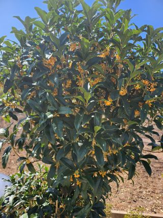 고흥 거금도 해풍님의 자유주제 · 자유게시판 작성글 사진