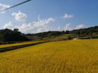 강 찬규님의 가을 농장 자랑해주세요🧑‍🌾 · 참여글 작성글 사진