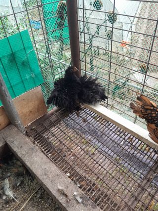 강 찬규님의 가을 농장 자랑해주세요🧑‍🌾 · 참여글 작성글 사진