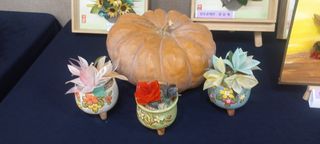 아림농장 대저2동 님의 가을 농장 자랑해주세요🧑‍🌾 · 참여글 작성글 사진