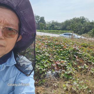 이훈정(시몬)님의 기타작물 · 영농일지 작성글 사진