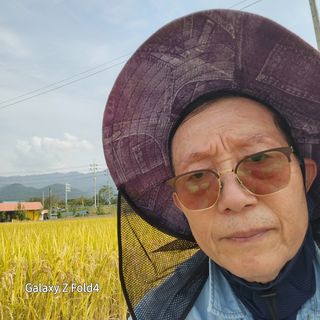 이훈정(시몬)님의 기타작물 · 영농일지 작성글 사진