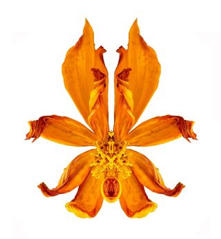 정진해님의 자유주제 · 사진전 작성글 사진