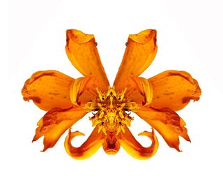 정진해님의 자유주제 · 사진전 작성글 사진