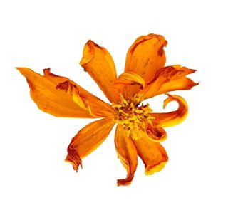 정진해님의 자유주제 · 사진전 작성글 사진