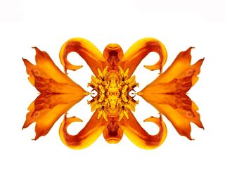 정진해님의 자유주제 · 사진전 작성글 사진