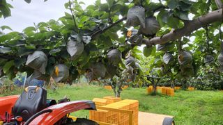 형설농원 정순정님의 가을 농장 자랑해주세요🧑‍🌾 · 참여글 작성글 사진