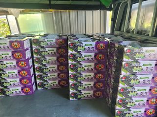 임운락님의 가을 농장 자랑해주세요🧑‍🌾 · 참여글 작성글 사진