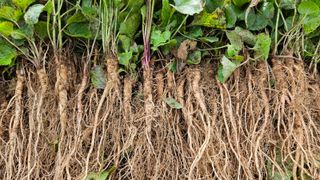 조병대님의 작성글 사진