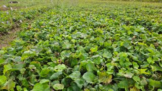 조병대님의 작성글 사진