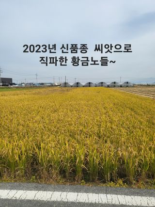 박순례님의 가을 농장 자랑해주세요🧑‍🌾 · 참여글 작성글 사진