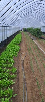 팜모닝 기타작물·영농일지 게시글 이미지