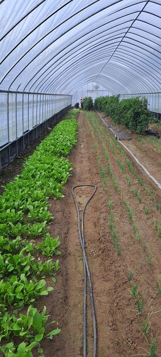 용호님의 기타작물 · 영농일지 작성글 사진