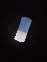 팜모닝 가을 농장 자랑해주세요🧑‍🌾·참여글 게시글 이미지