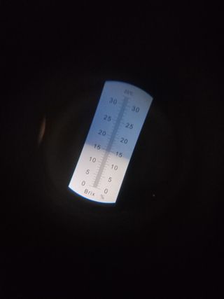 농사짓는 아빠곰님의 가을 농장 자랑해주세요🧑‍🌾 · 참여글 작성글 사진