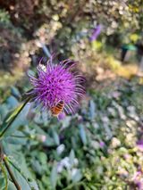 팜모닝 자유주제·자유게시판 게시글 이미지