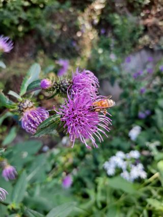 최성희 님의 자유주제 · 자유게시판 작성글 사진