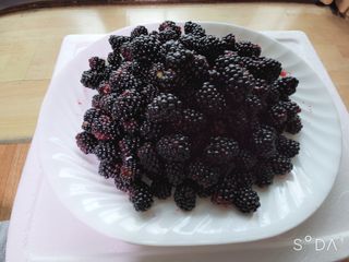 아로니크님의 기타작물 · 병해충상담 작성글 사진