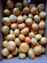 팜모닝 · 게시글 이미지