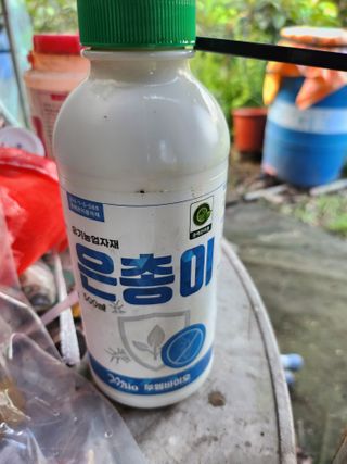 김상철님의 기타작물 · 병해충상담 작성글 사진