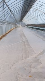 팜모닝 가을 농장 자랑해주세요🧑‍🌾·참여글 게시글 이미지