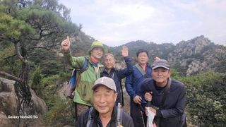 제주농부님의 들깨 · 자유게시판 작성글 사진