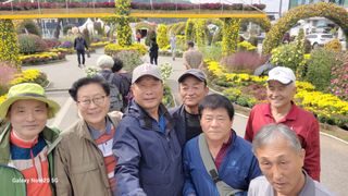 제주농부님의 들깨 · 자유게시판 작성글 사진