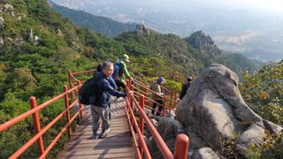 제주농부님의 들깨 · 자유게시판 작성글 사진