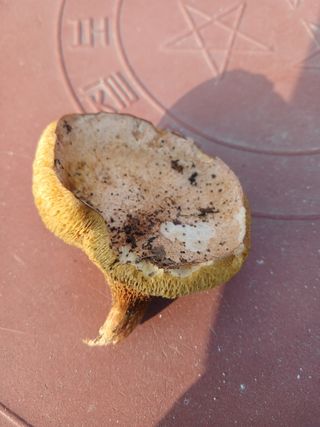 879412님의 가을 농장 자랑해주세요🧑‍🌾 · 참여글 작성글 사진